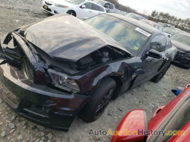 2013 FORD MUSTANG, 1ZVBP8AM8D5255957