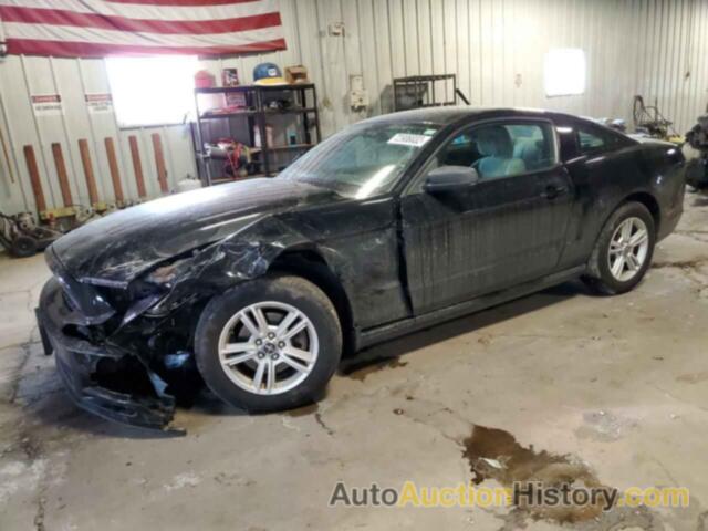2013 FORD MUSTANG, 1ZVBP8AM7D5239233