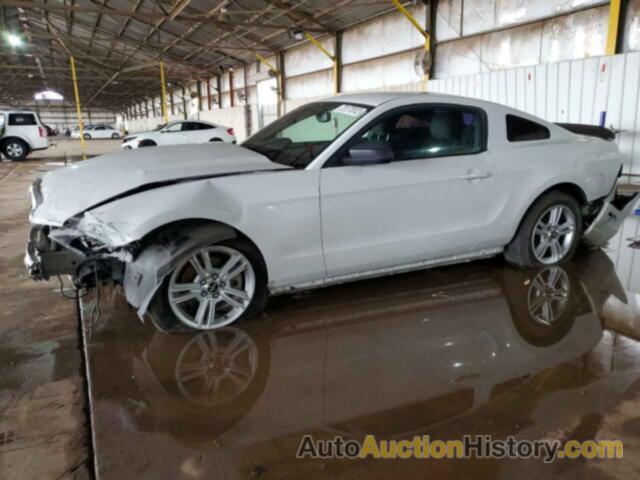 2014 FORD MUSTANG, 1ZVBP8AM0E5215339