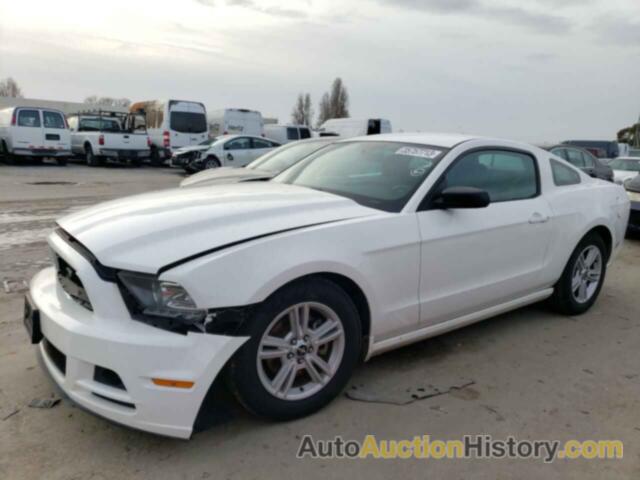 2013 FORD MUSTANG, 1ZVBP8AM8D5246563