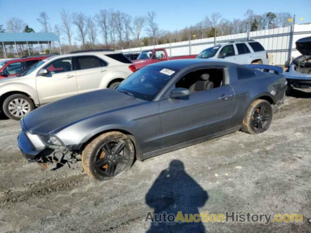 2013 FORD MUSTANG, 1ZVBP8AM0D5275121