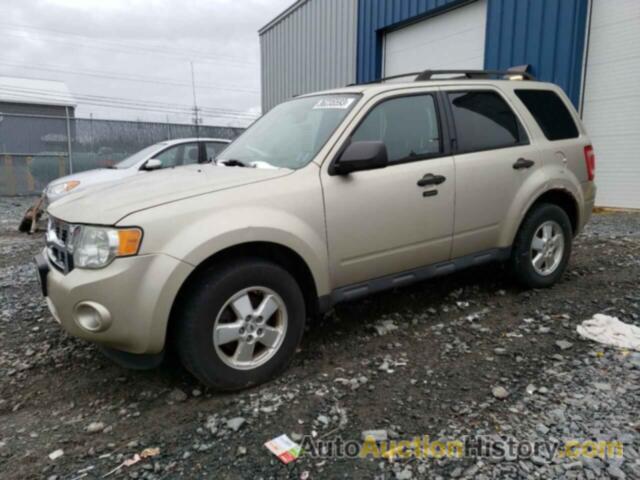 2012 FORD ESCAPE XLT, 1FMCU0D77CKA11137