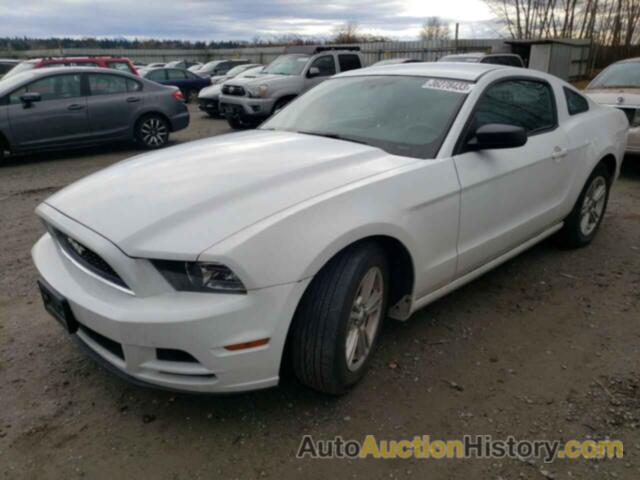 2014 FORD MUSTANG, 1ZVBP8AM9E5278813