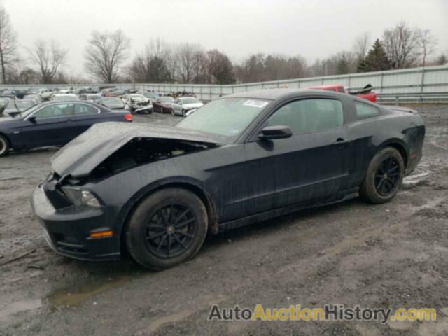 2014 FORD MUSTANG, 1ZVBP8AM9E5240515
