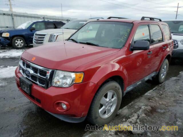 2011 FORD ESCAPE XLT, 1FMCU9D73BKB26353