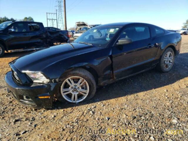 2014 FORD MUSTANG, 1ZVBP8AM0E5303226