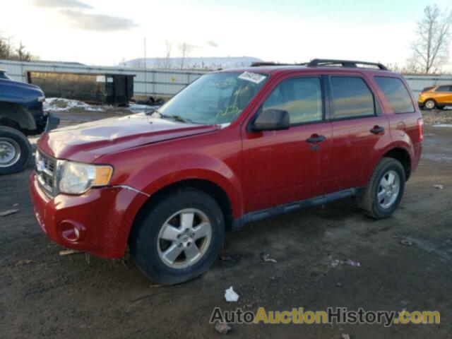 2011 FORD ESCAPE XLT, 1FMCU0D73BKB72938