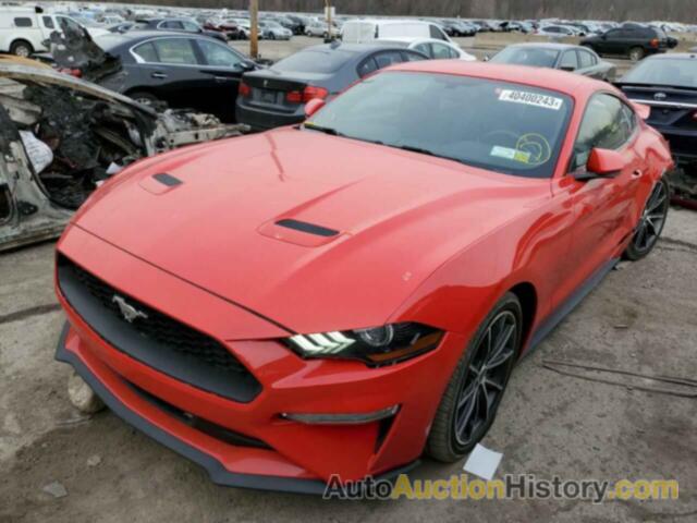 2019 FORD MUSTANG, 1FA6P8TH4K5165955