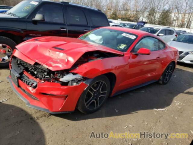 2019 FORD MUSTANG, 1FA6P8TH7K5142055