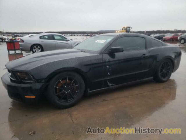 2012 FORD MUSTANG, 1ZVBP8AM3C5253998