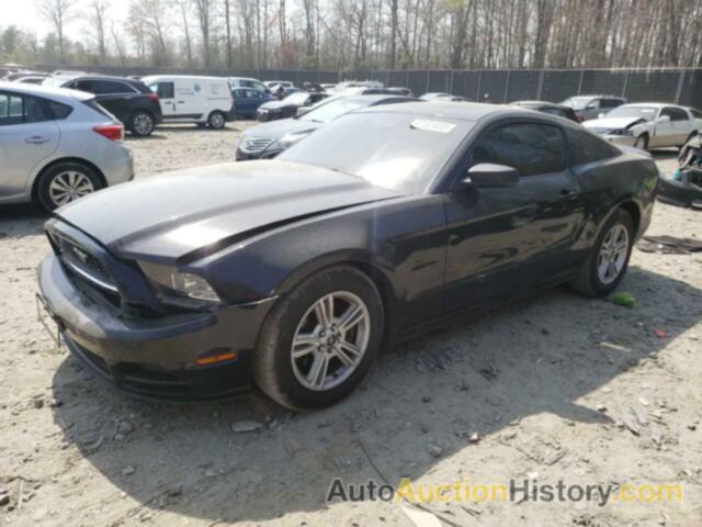 2013 FORD MUSTANG, 1ZVBP8AM8D5220934