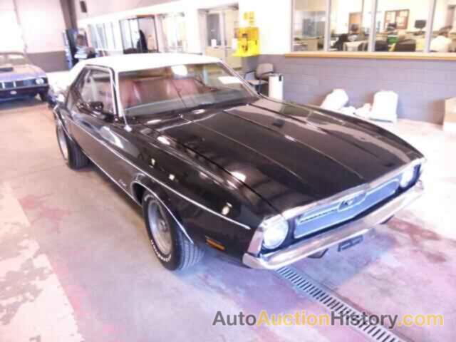 1971 FORD MUSTANG, 1F04F213039