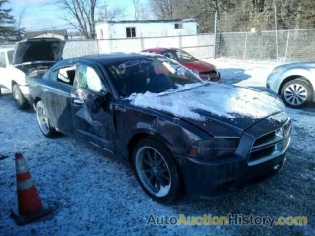 2014 DODGE CHARGER, 2C3CDXBG8EH116865
