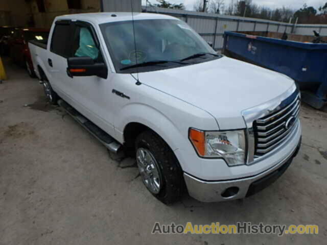 2011 FORD F150, 1FTEW1CM8BFD01995