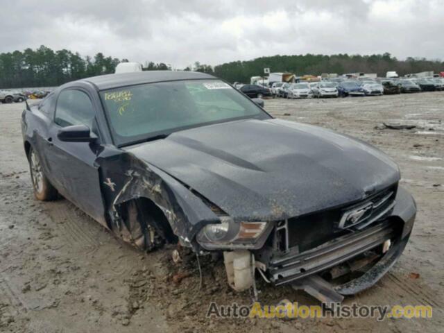 2012 FORD MUSTANG, 1ZVBP8AM5C5262234