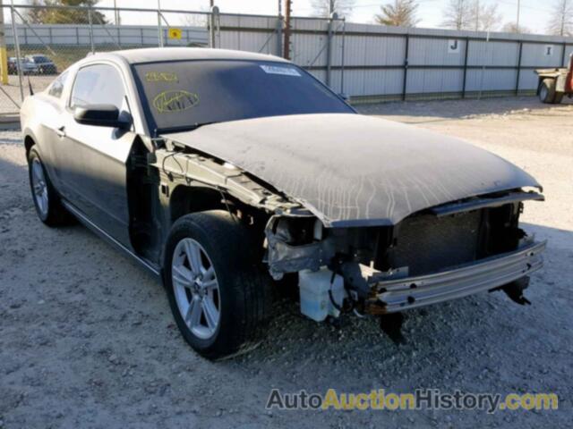 2014 FORD MUSTANG, 1ZVBP8AM9E5294879