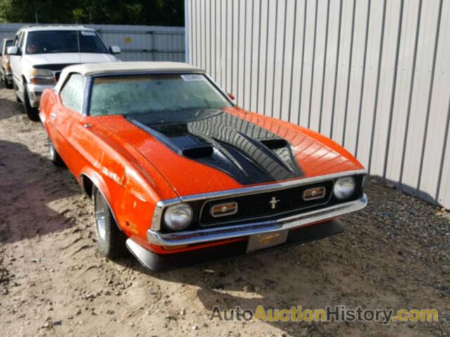 1972 FORD MUSTANG, 2F03F171719