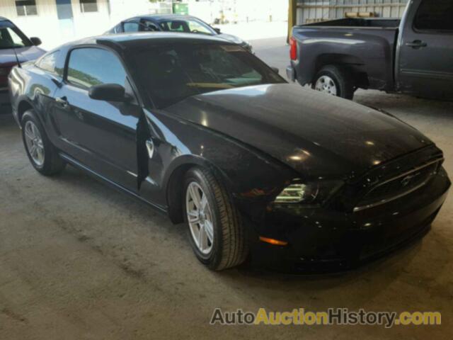 2013 FORD MUSTANG , 1ZVBP8AM2D5228298