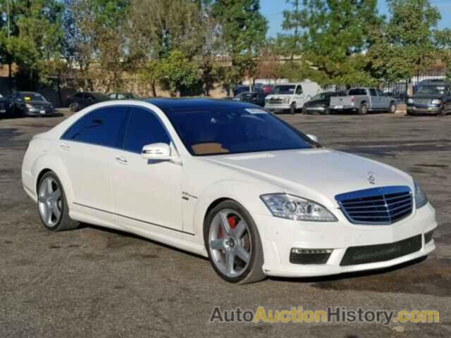 2010 MERCEDES-BENZ S 600 600, WDDNG7GB8AA322646