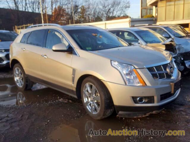 2010 CADILLAC SRX PERFOR PERFORMANCE COLLECTION, 3GYFNEEY3AS523850
