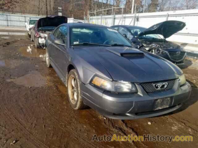 2003 FORD MUSTANG GT GT, 1FAFP42X73F308488