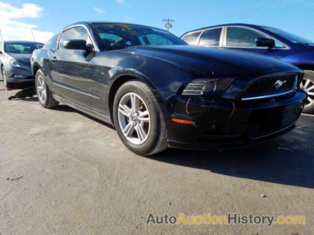 2013 FORD MUSTANG, 1ZVBP8AM0D5277547