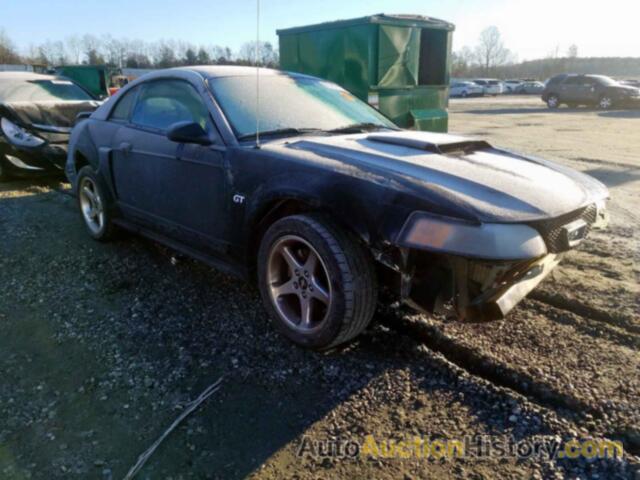 2003 FORD MUSTANG GT GT, 1FAFP42X73F384437
