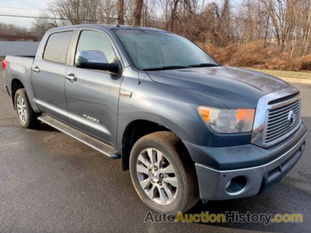 2010 TOYOTA TUNDRA CRE CREWMAX LIMITED, 5TFFY5F13AX081228