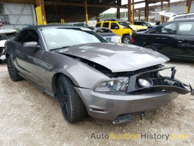 2010 FORD MUSTANG GT GT, 1ZVBP8FH0A5156458