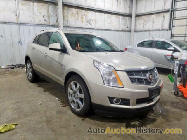 2010 CADILLAC SRX PERFOR PERFORMANCE COLLECTION, 3GYFNBEY3AS567491