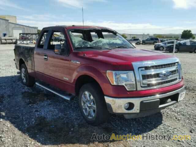 2013 FORD F150, 1FTFX1CT8DFD93539