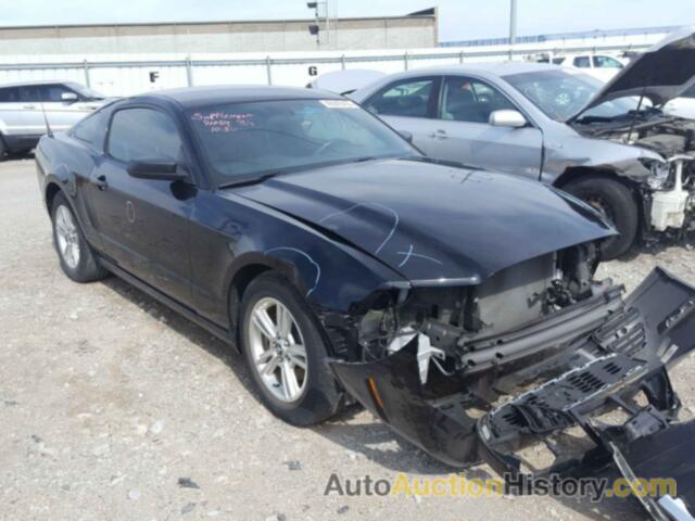 2014 FORD MUSTANG, 1ZVBP8AM1E5313280