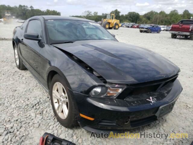 2012 FORD MUSTANG, 1ZVBP8AM9C5253505