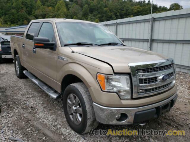 2013 FORD F150 SUPERCREW, 1FTFW1EF4DFC63624