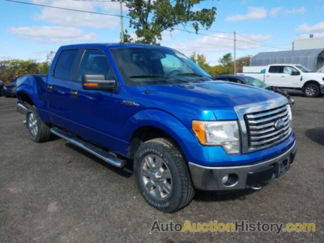 2011 FORD F150 SUPERCREW, 1FTFW1EF5BFB86534