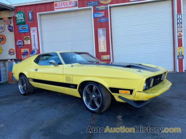 1971 FORD MUSTANG, 1F02F113244