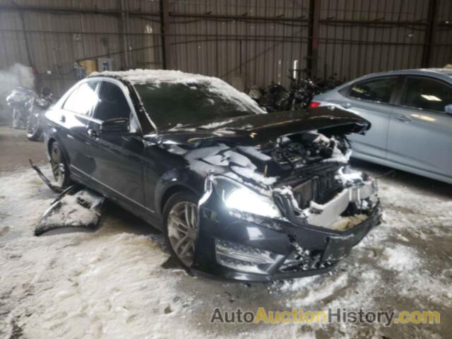 2013 MERCEDES-BENZ ALL OTHER 300 4MATIC, WDDGF8AB8DR295822