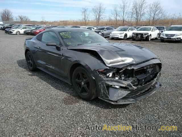 2019 FORD MUSTANG, 1FA6P8TH0K5133245