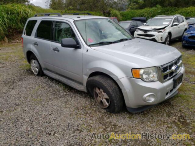 2011 FORD ESCAPE XLT, 1FMCU0D74BKB98531