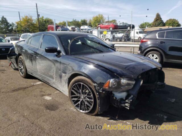 2013 DODGE CHARGER R/T, 2C3CDXDT1DH738698