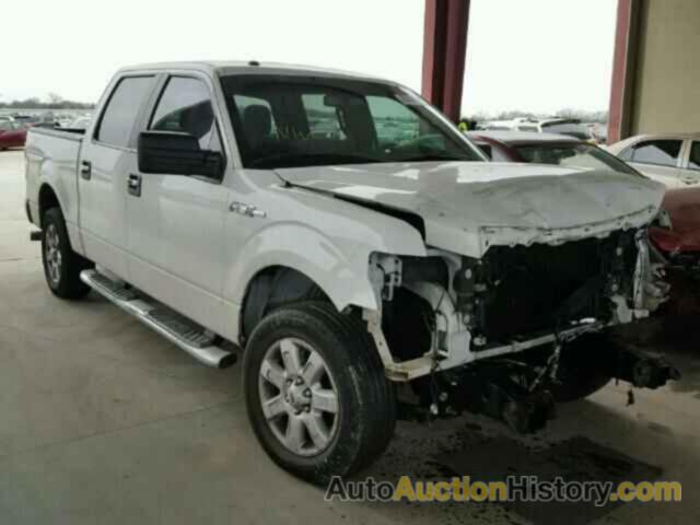 2013 FORD F150, 1FTFW1CF1DFC34181