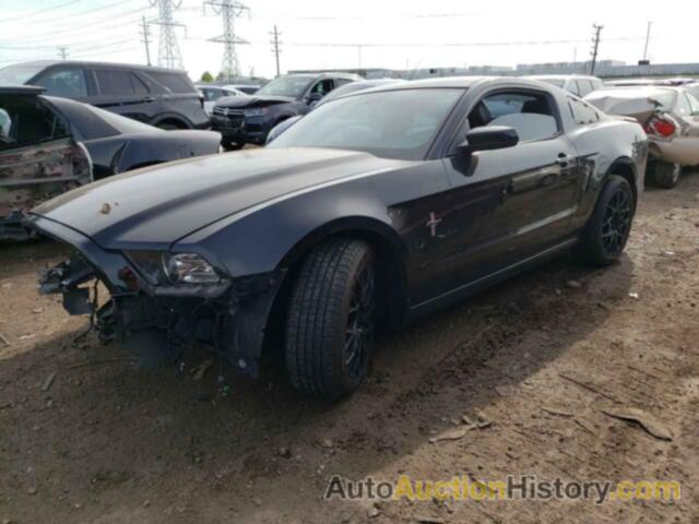 2013 FORD MUSTANG, 1ZVBP8AM7D5241046