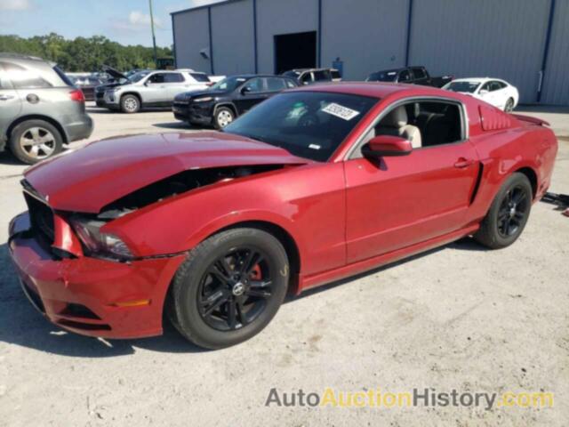 2014 FORD MUSTANG, 1ZVBP8AM5E5255898