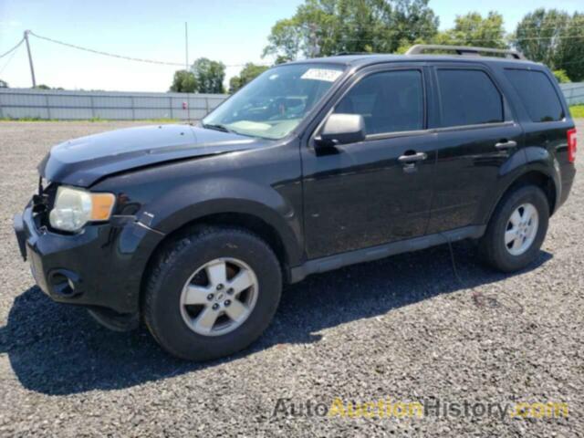 2011 FORD ESCAPE XLT, 1FMCU9D73BKB50524