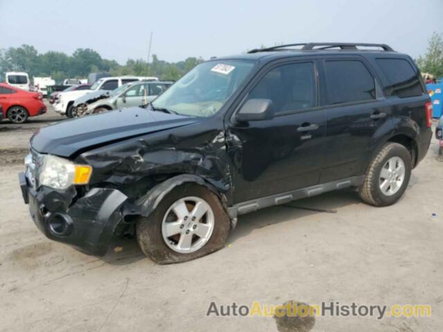2011 FORD ESCAPE XLT, 1FMCU0D79BKB57862