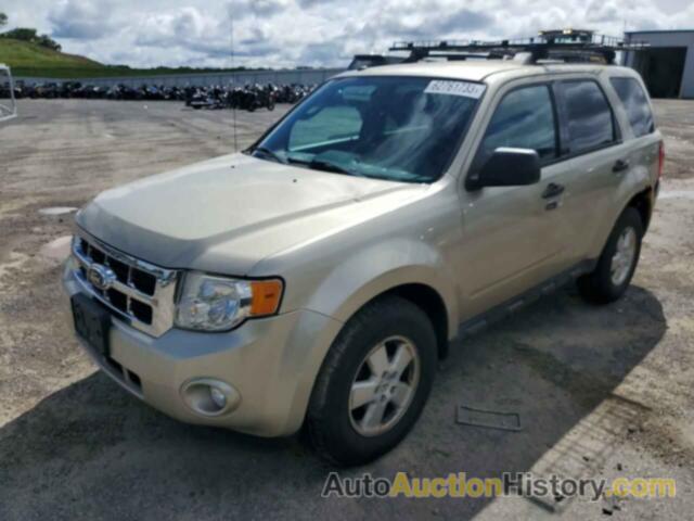 2011 FORD ESCAPE XLT, 1FMCU9D73BKB60700