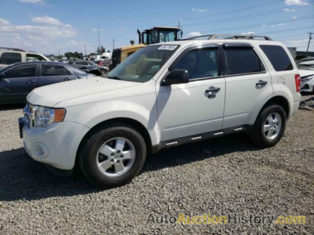 2011 FORD ESCAPE XLT, 1FMCU0D79BKB03719