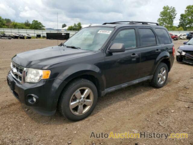 2011 FORD ESCAPE XLT, 1FMCU9D76BKB11345