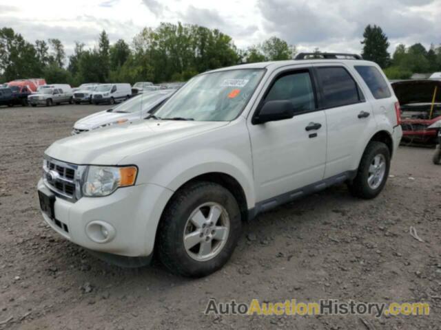 2011 FORD ESCAPE XLT, 1FMCU9D75BKB75361