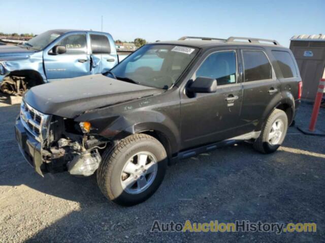 2011 FORD ESCAPE XLT, 1FMCU0D75BKB97825